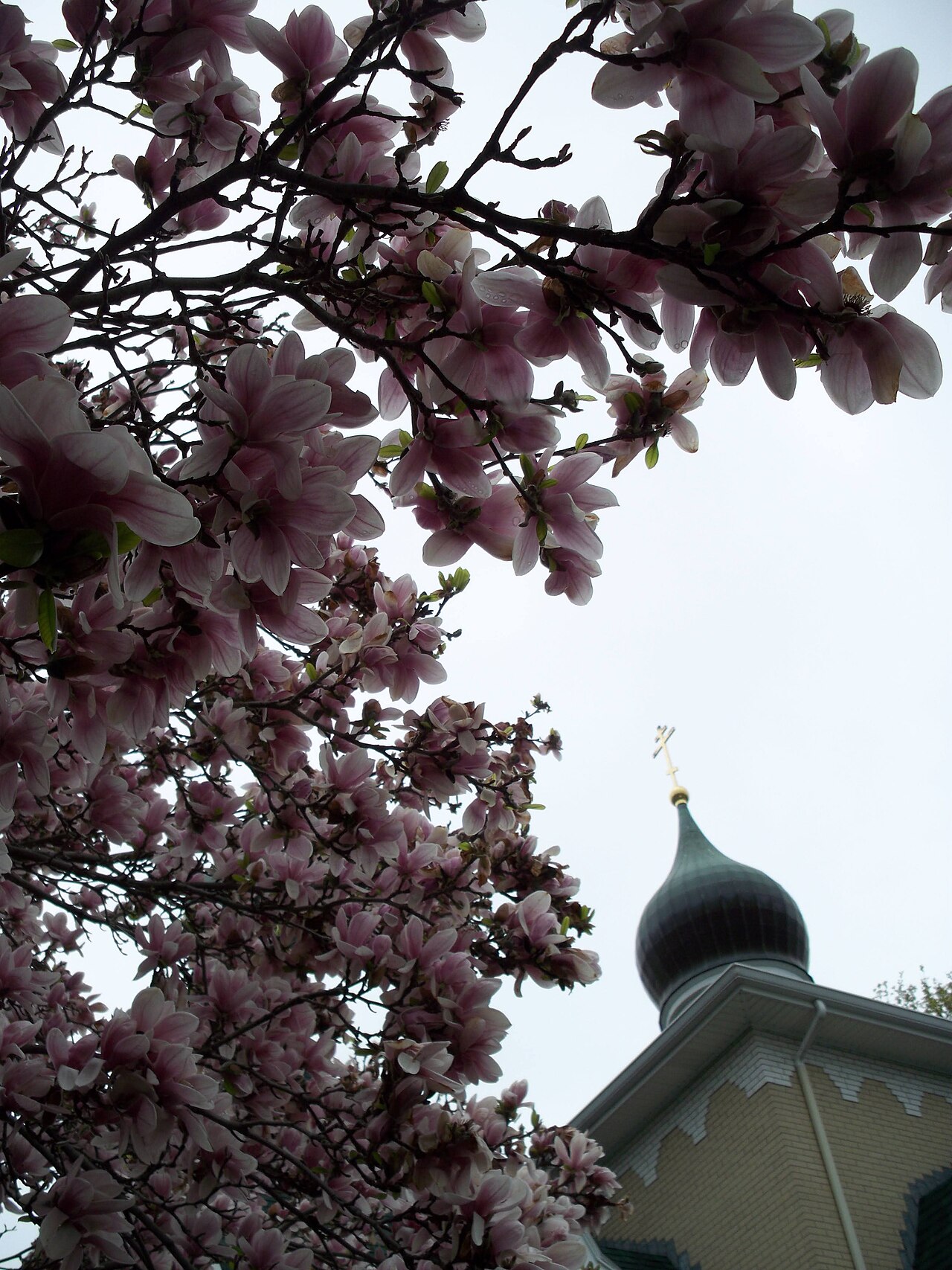 Russian Orthodox Church